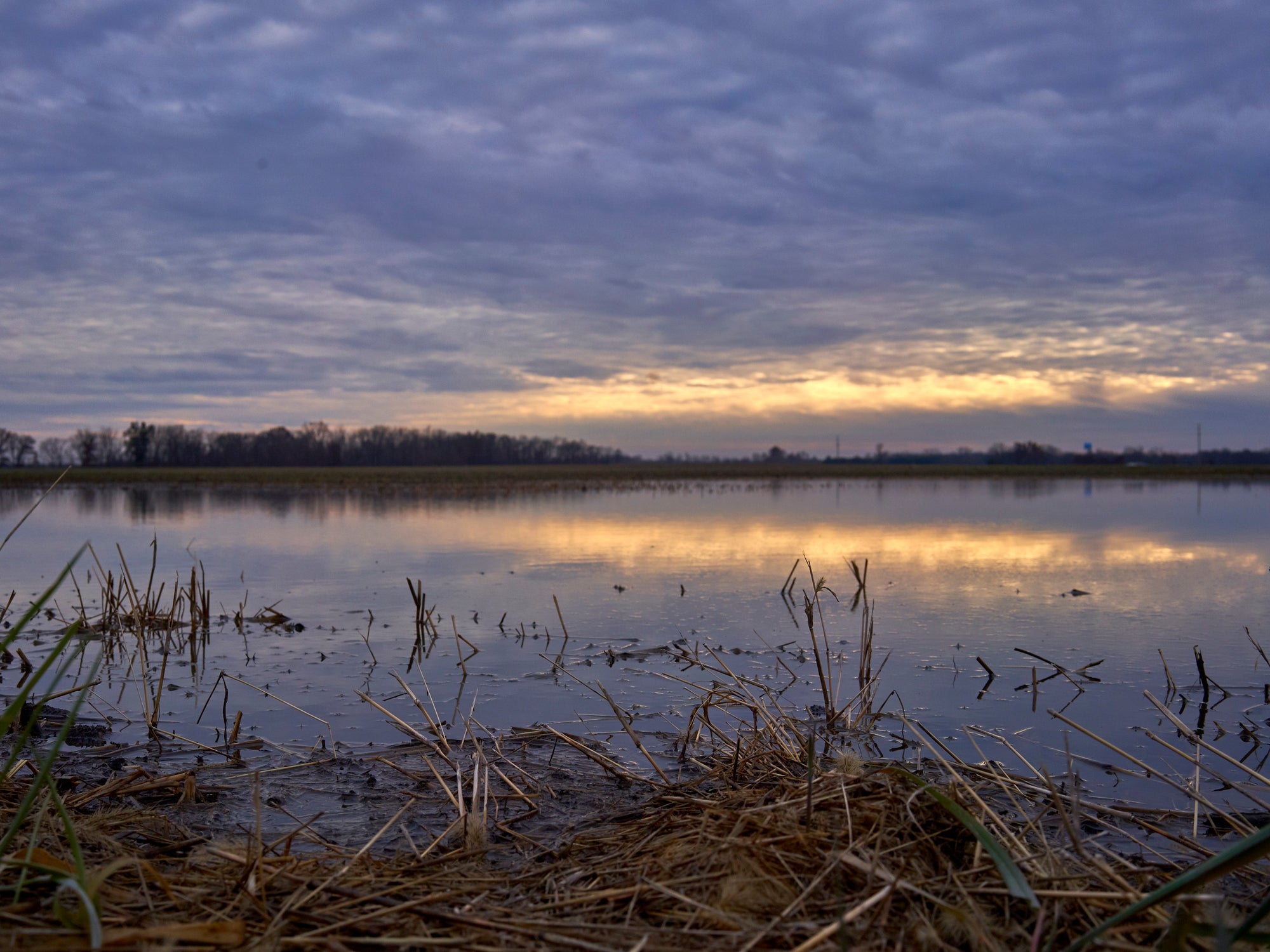 Middle of Nowhere / Four