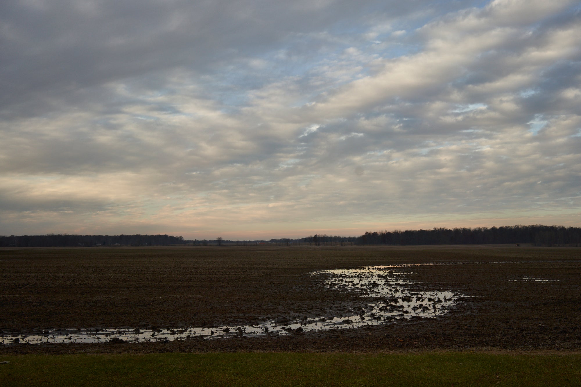 Middle of Nowhere / Seven