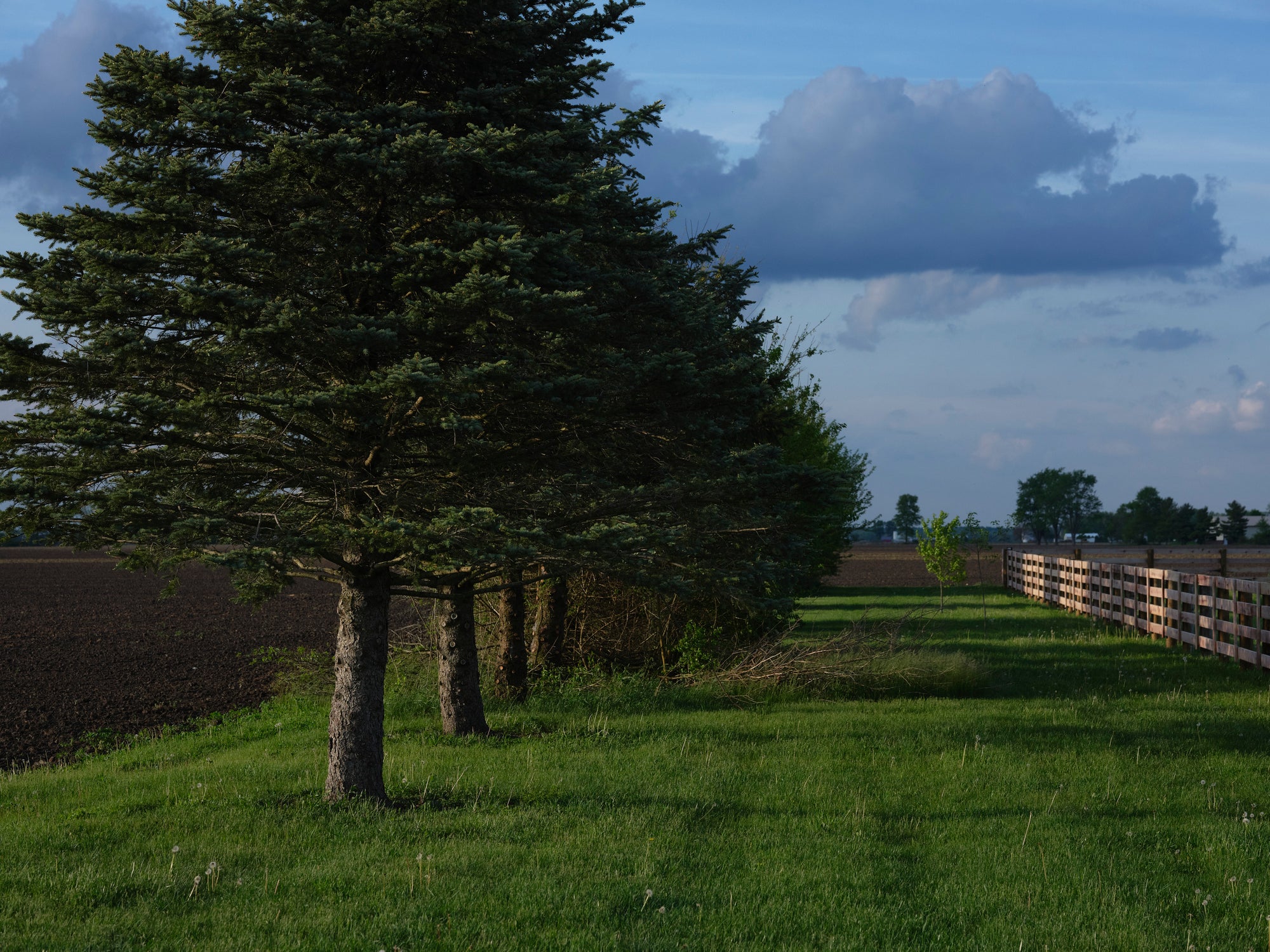 Middle of Nowhere / Nine