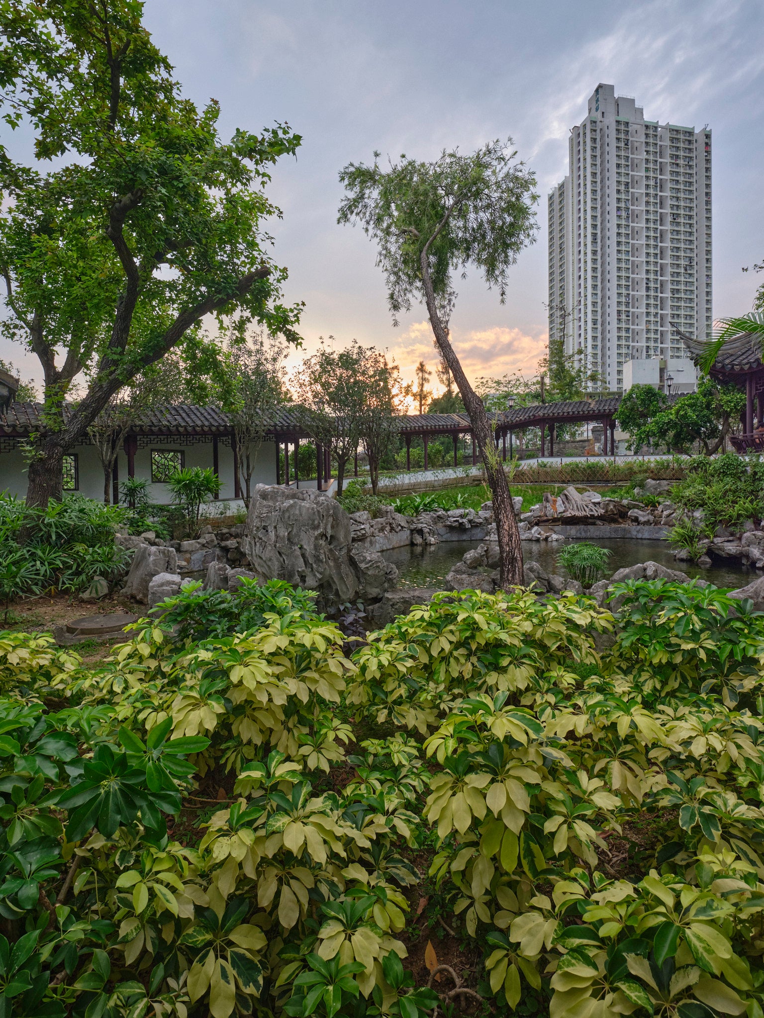 Hong Kong / Walled City Three