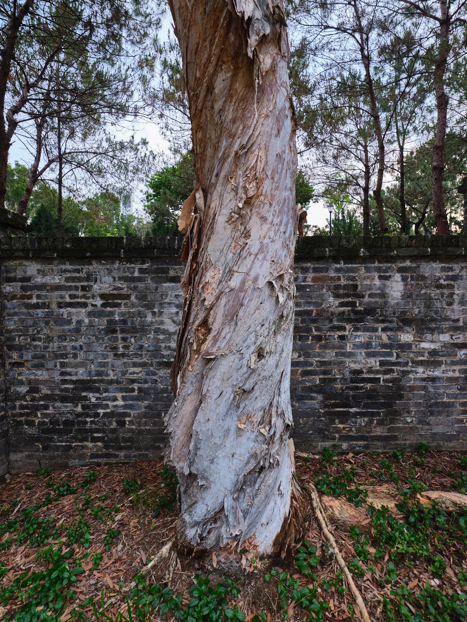 Hong Kong / Walled City Two