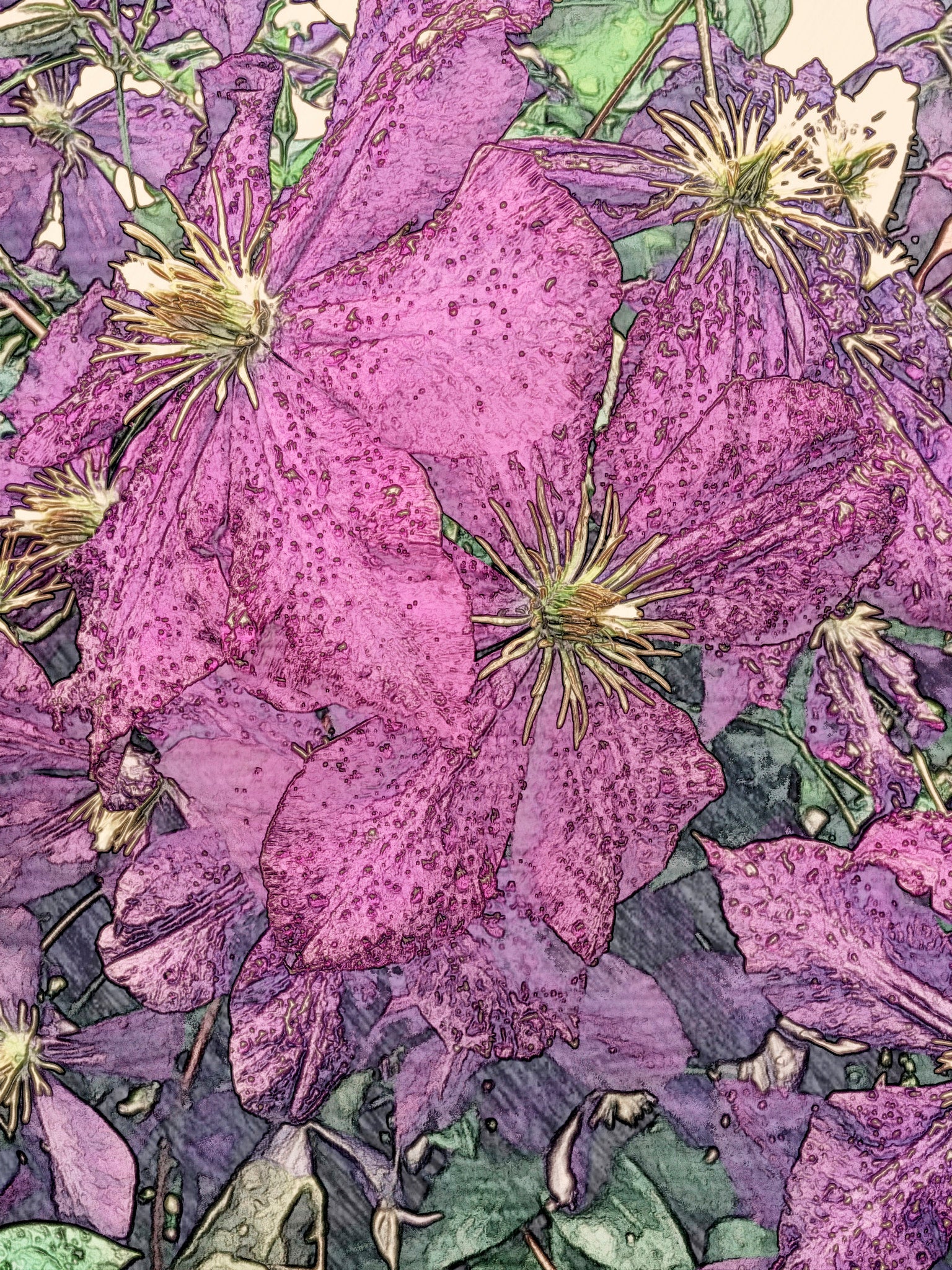 iPhone Flowers / Three