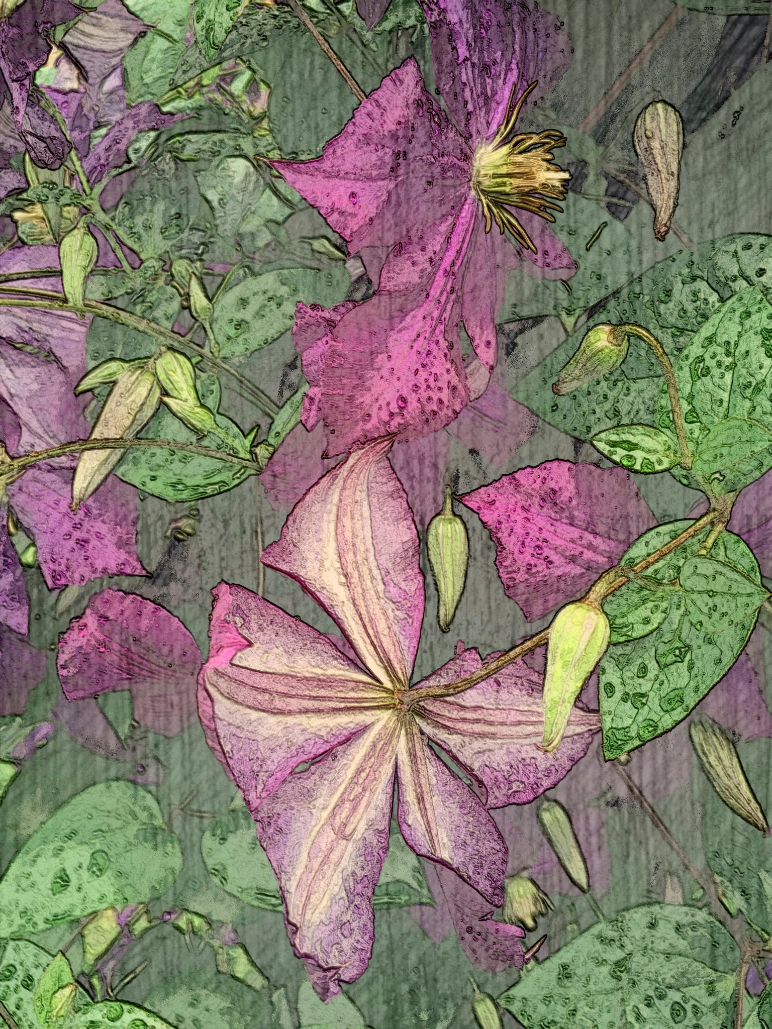 iPhone Flowers / Four