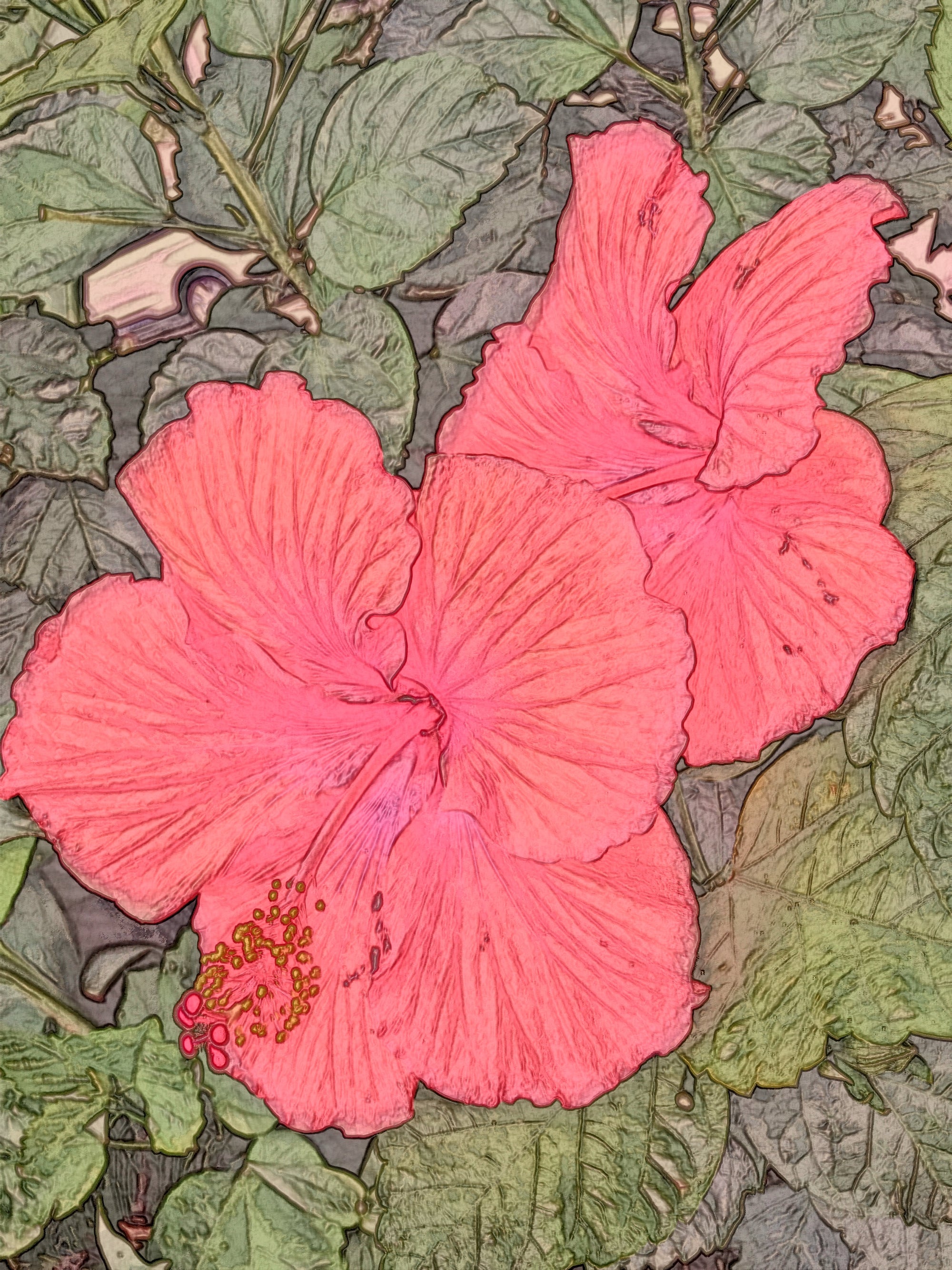 iPhone Flowers / Seven