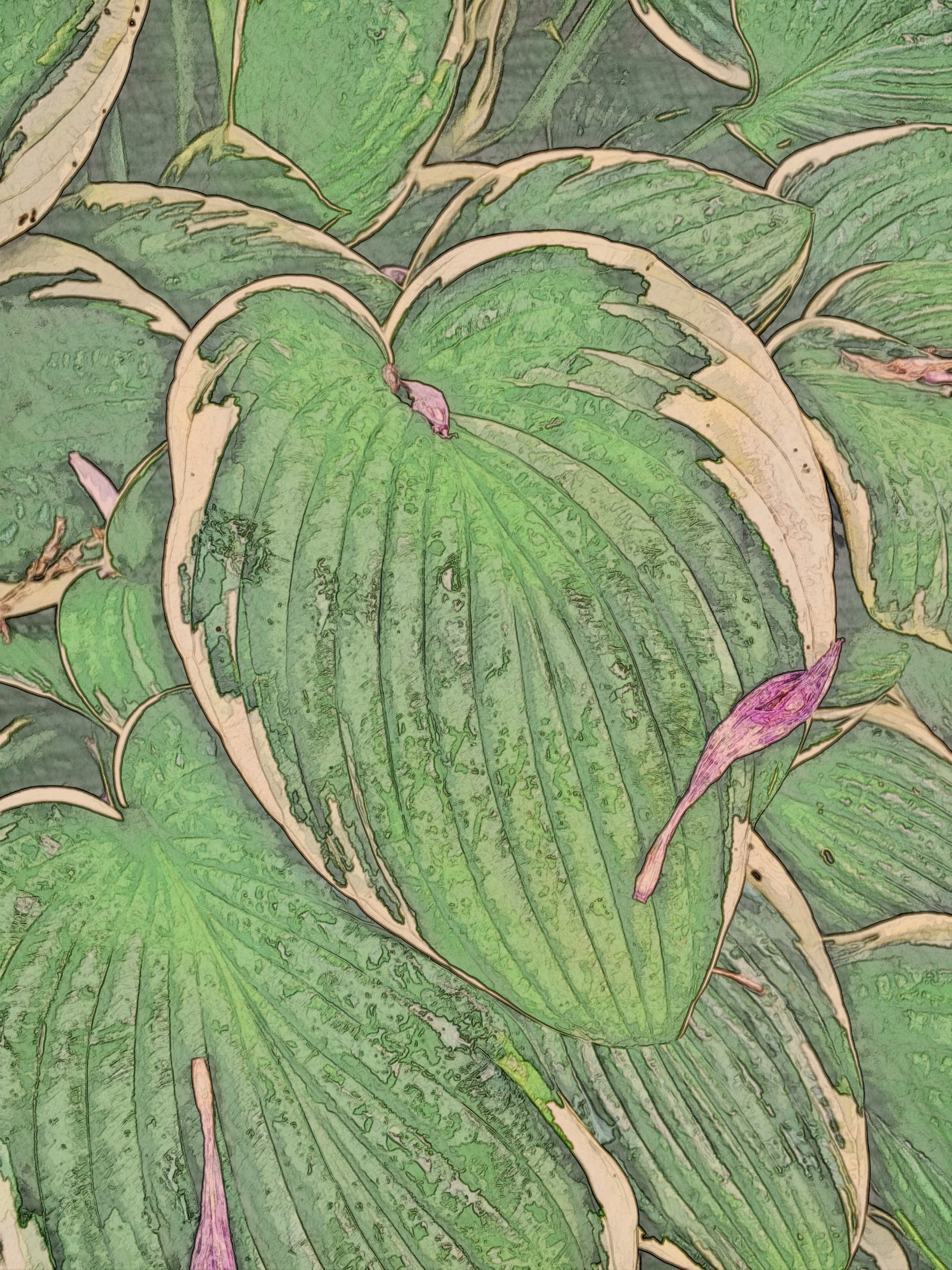 iPhone Flowers / Eight