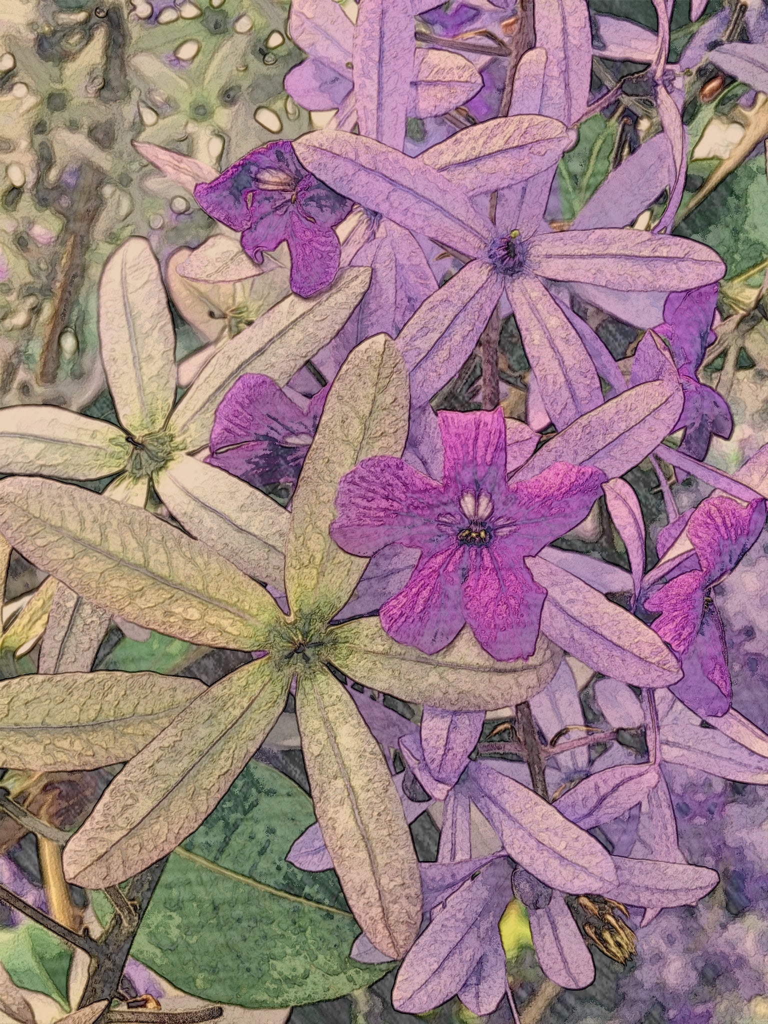 iPhone Flowers / Five