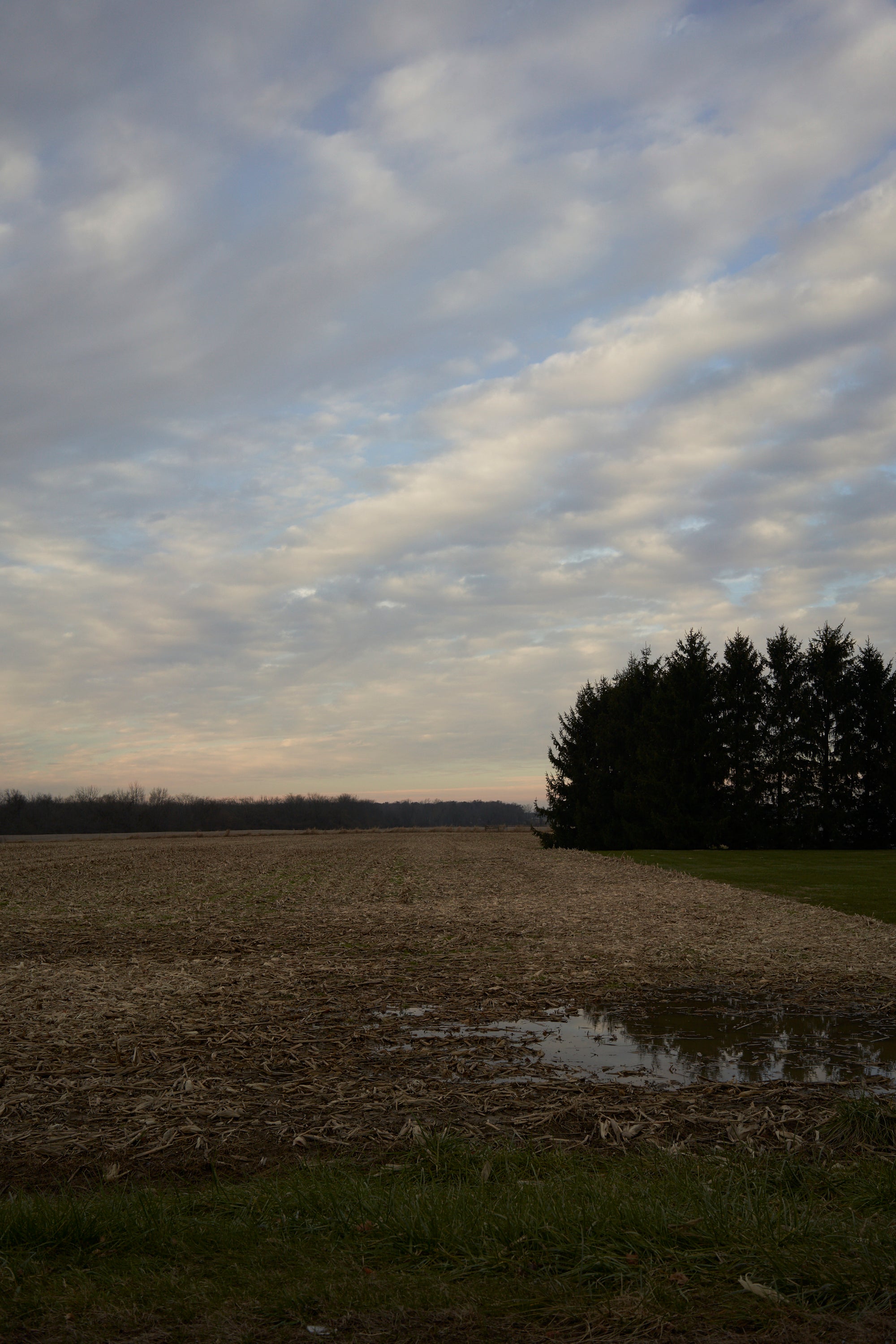 A landscape photograph in featuring a flat, open field with a band of clouds in the sky and a copse of trees in the distance.
