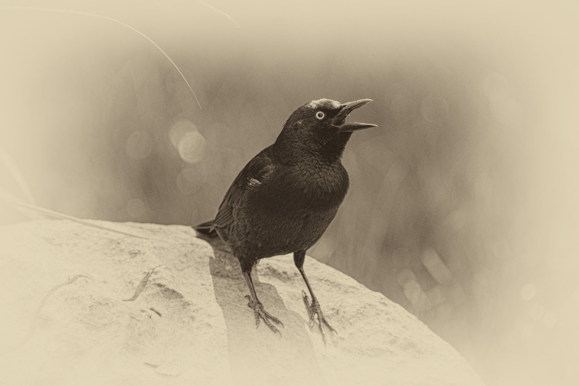 Sharing Space / Five