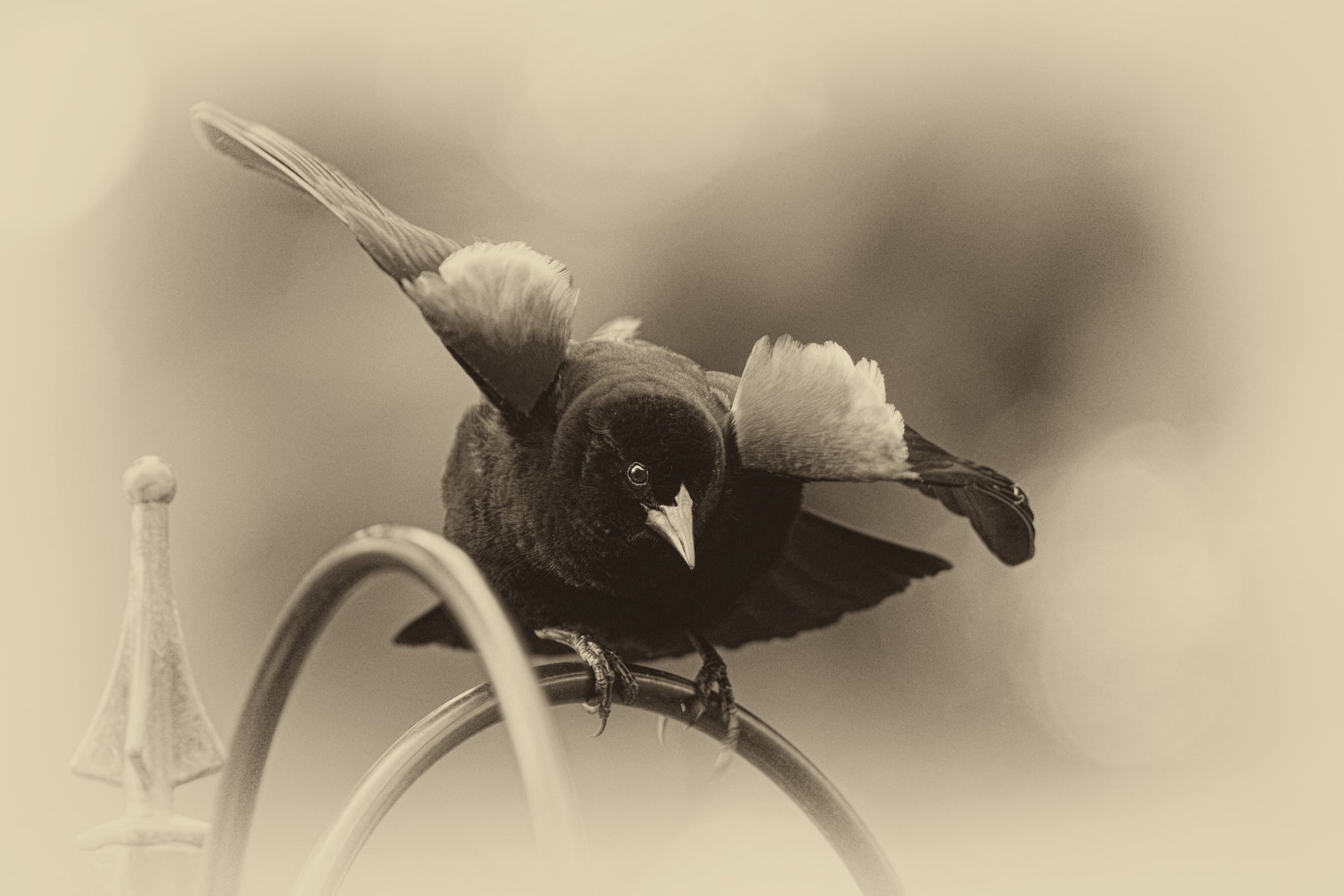 Sharing Space / Three