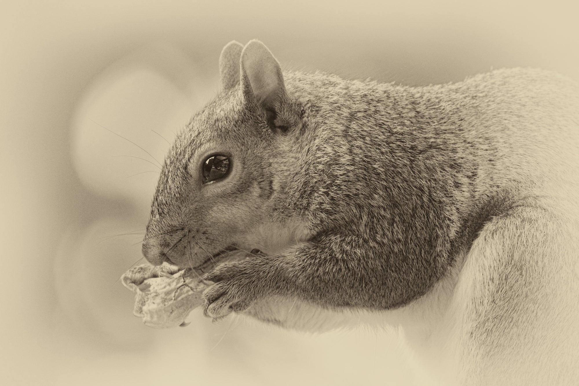 Sharing Space / Four