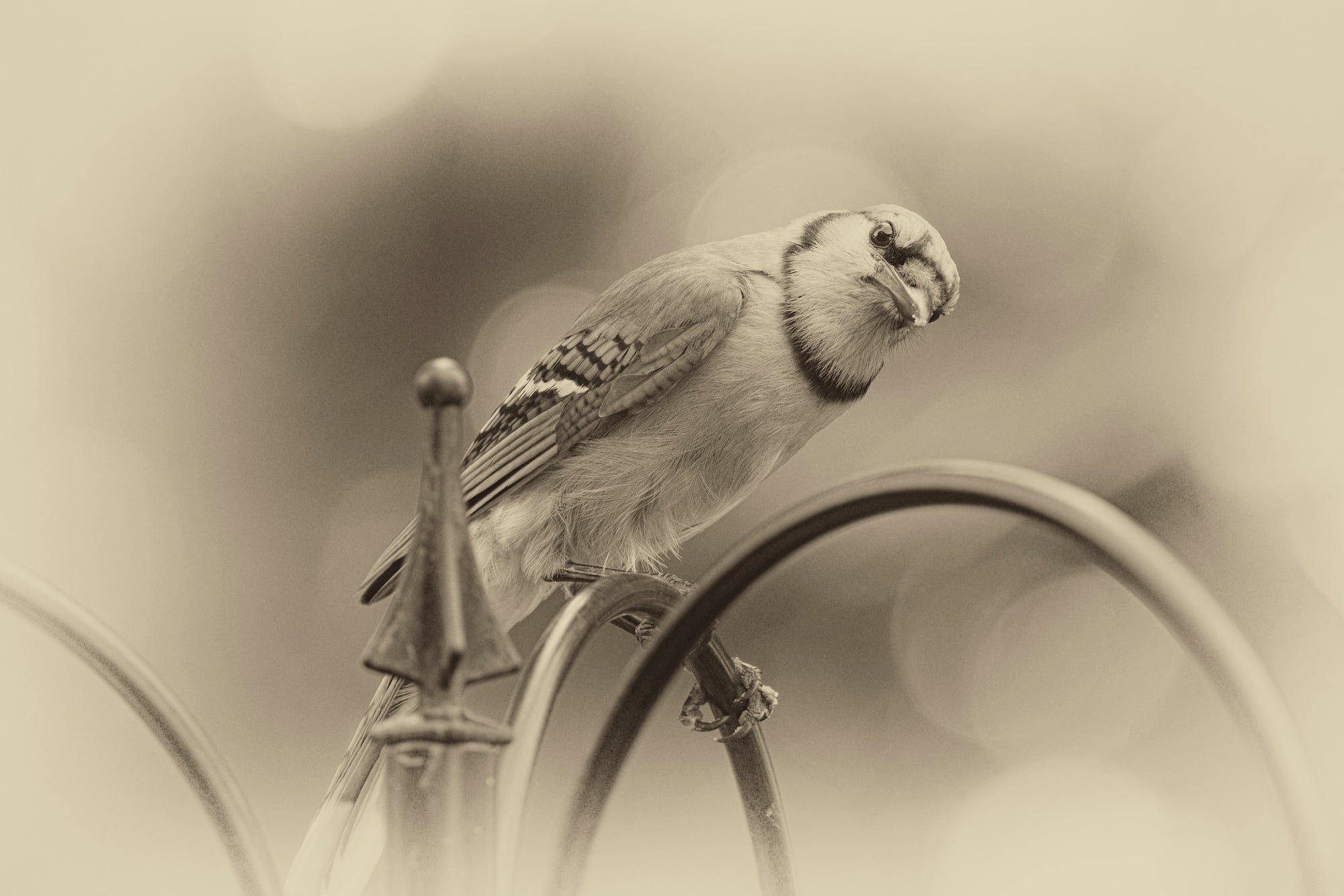 Sharing Space / Eight