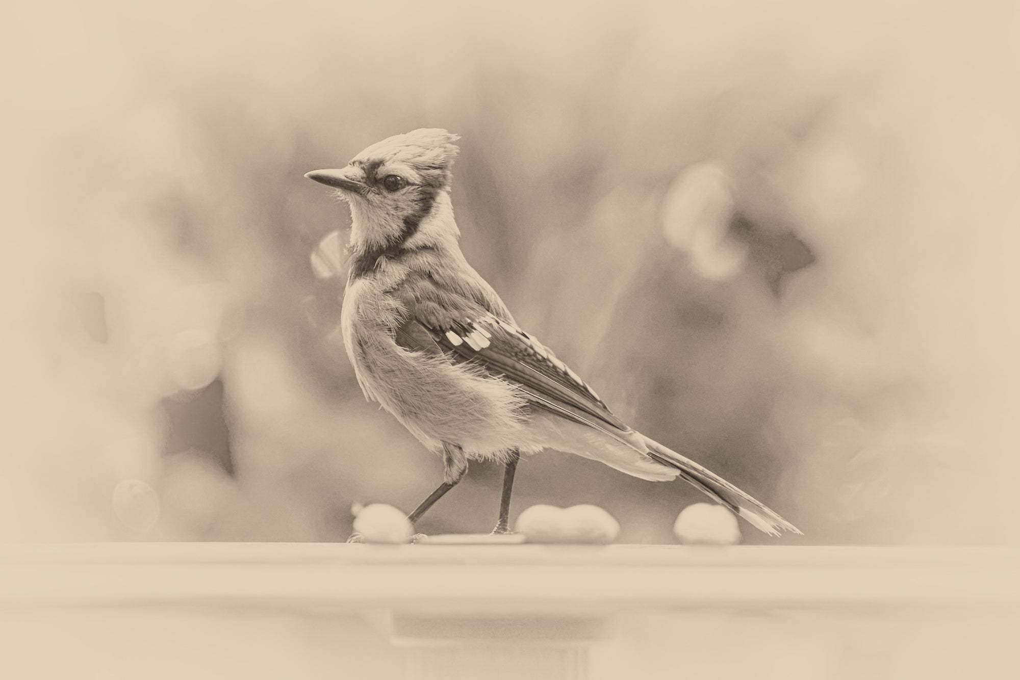 Sharing Space / Seven