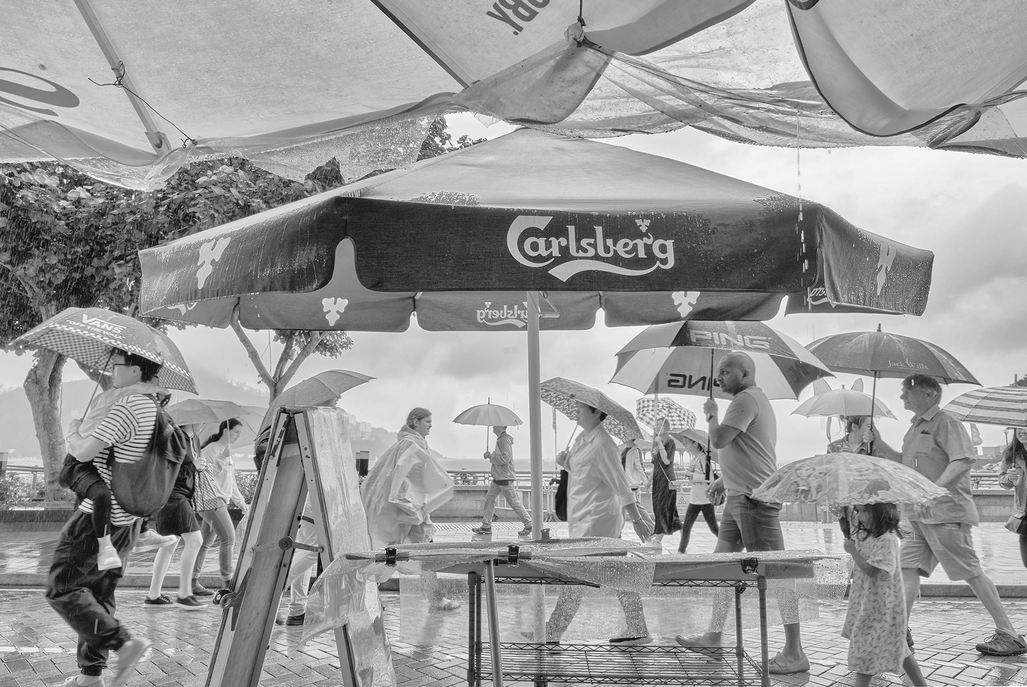 Black and white photograph of people under umbrellas, with a 'Carlsberg' branded tent in the background, on Cheung Chau island.